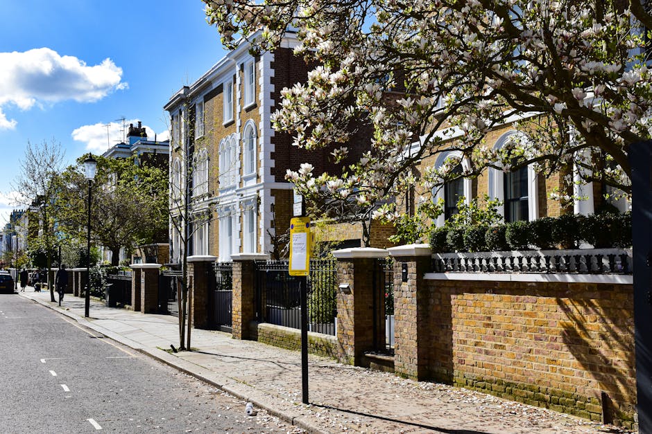 A row of white Victorian-style terraced houses with ornate architectural details, large sash windows, and decorative cornices, situated along a street in Belsize Park on a clear day. The pavement in f